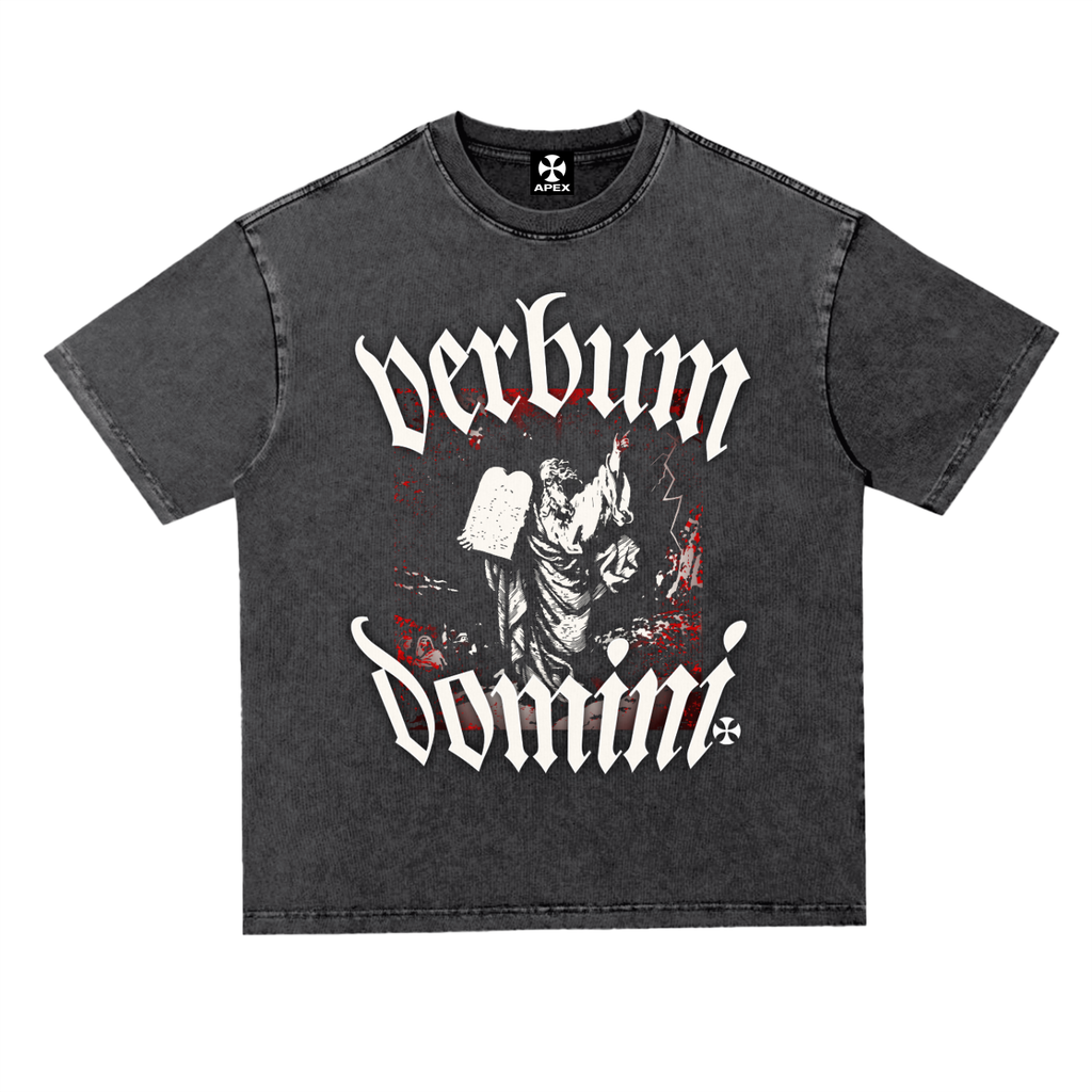 VINTAGE VERBUM DOMINI HEAVYWEIGHT TEE